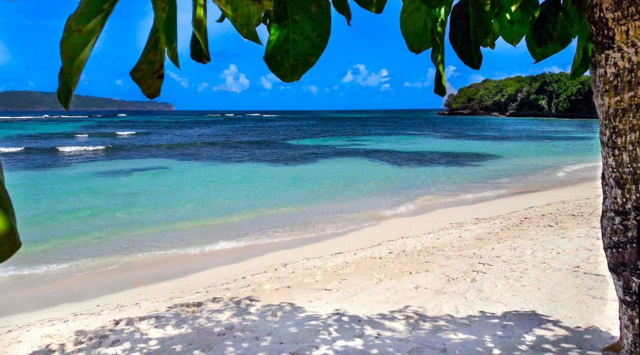 El Pelicano Apart-Hotel Las Galeras Exteriör bild